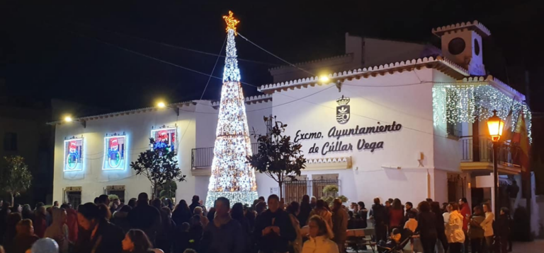 Ayuntamiento de Cúllar Vega 3 768x358