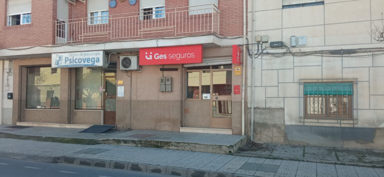 ges seguros 7 1 768x354