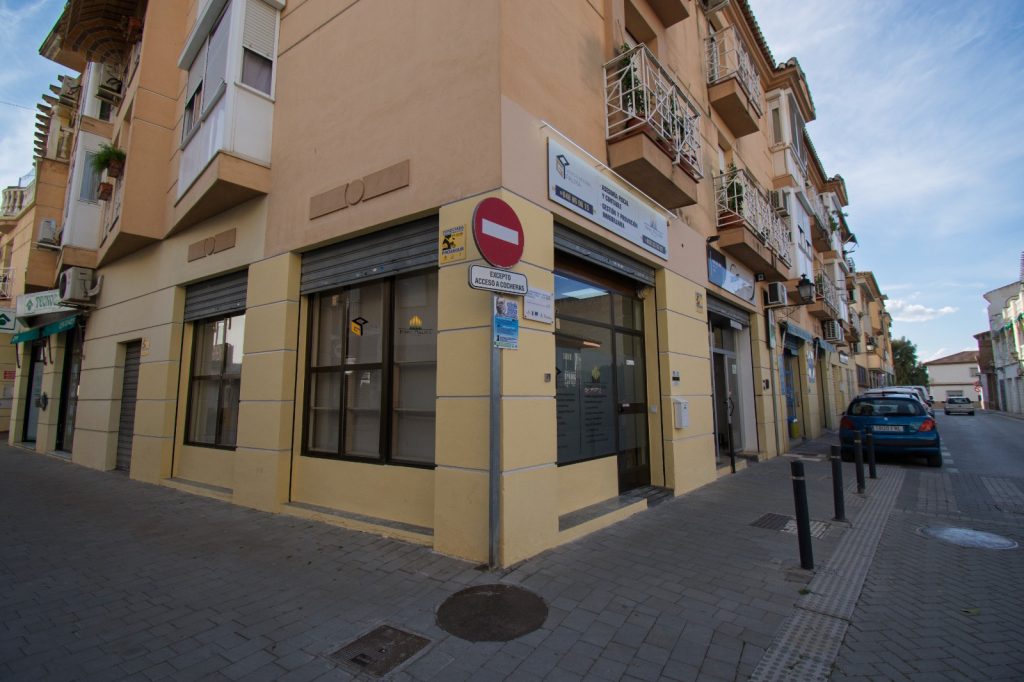 gestion-palma-001
