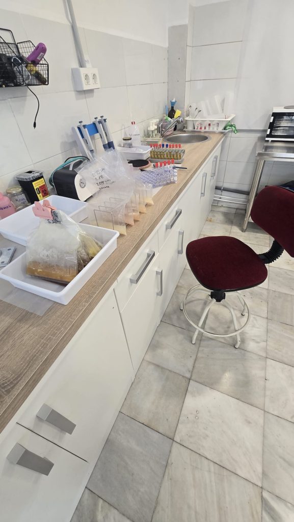 laboratorio_nivalis (12)
