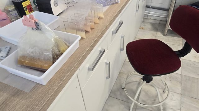 laboratorio_nivalis (12)