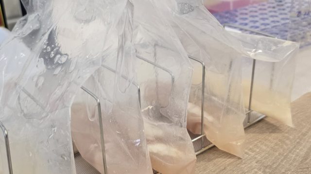 laboratorio_nivalis (13)
