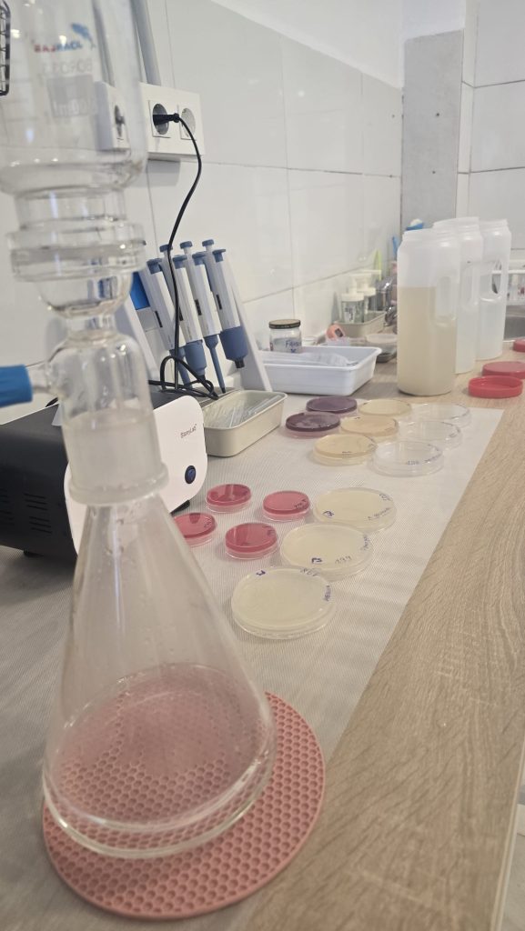 laboratorio_nivalis (15)