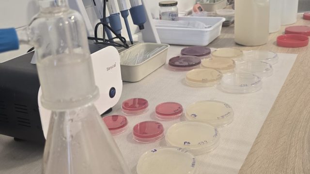 laboratorio_nivalis (15)