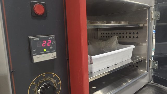 laboratorio_nivalis (5)