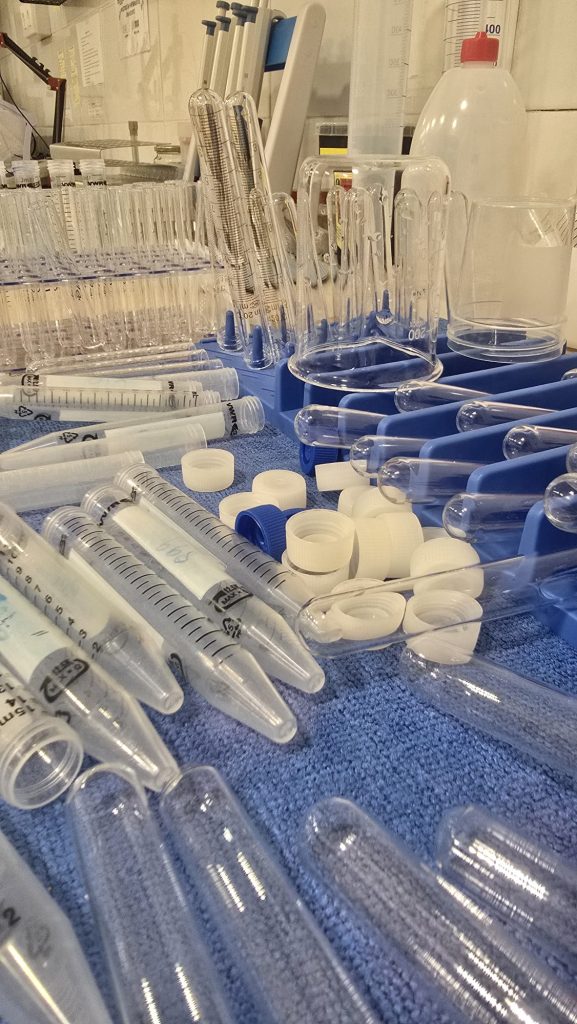 laboratorio_nivalis (6)