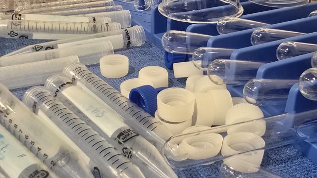 laboratorio_nivalis (6)