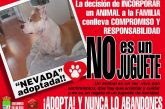 Campaña: ¡¡UN ANIMAL NO ES UN JUGUETE!!