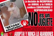 Campaña: ¡¡UN ANIMAL NO ES UN JUGUETE!!